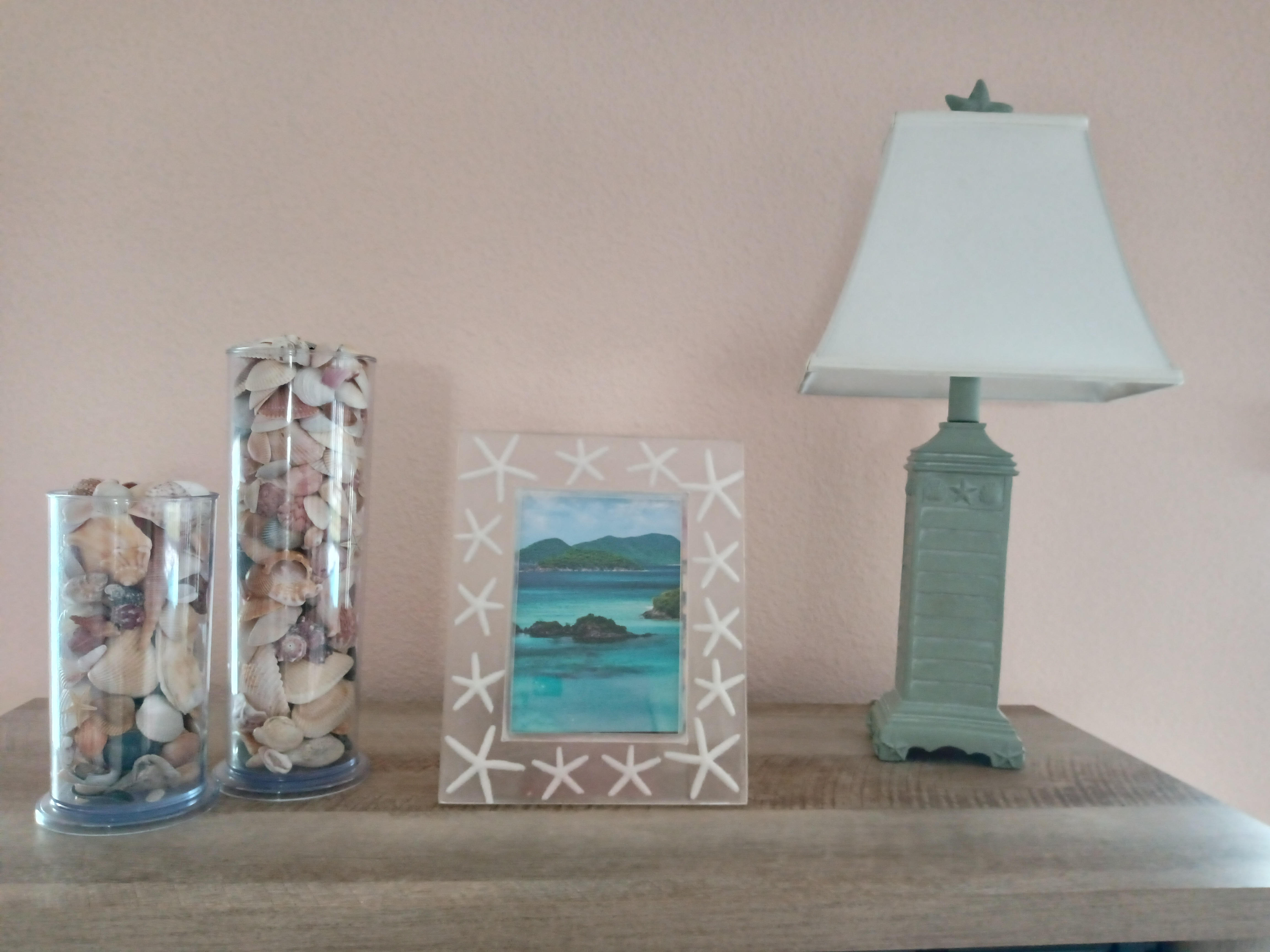 Coastal shelf vignette with seashells in glass vases and seafoam lamp