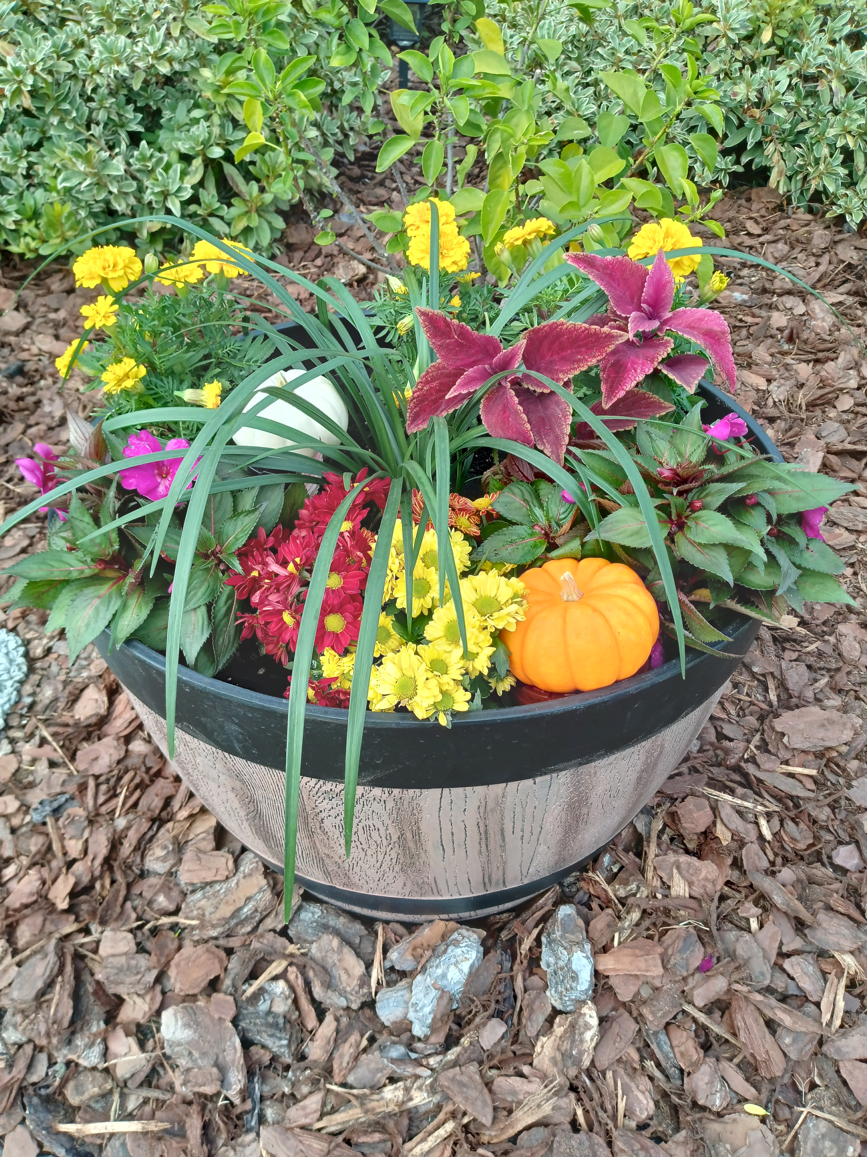 Fall planter with mums and mini pumpkin
